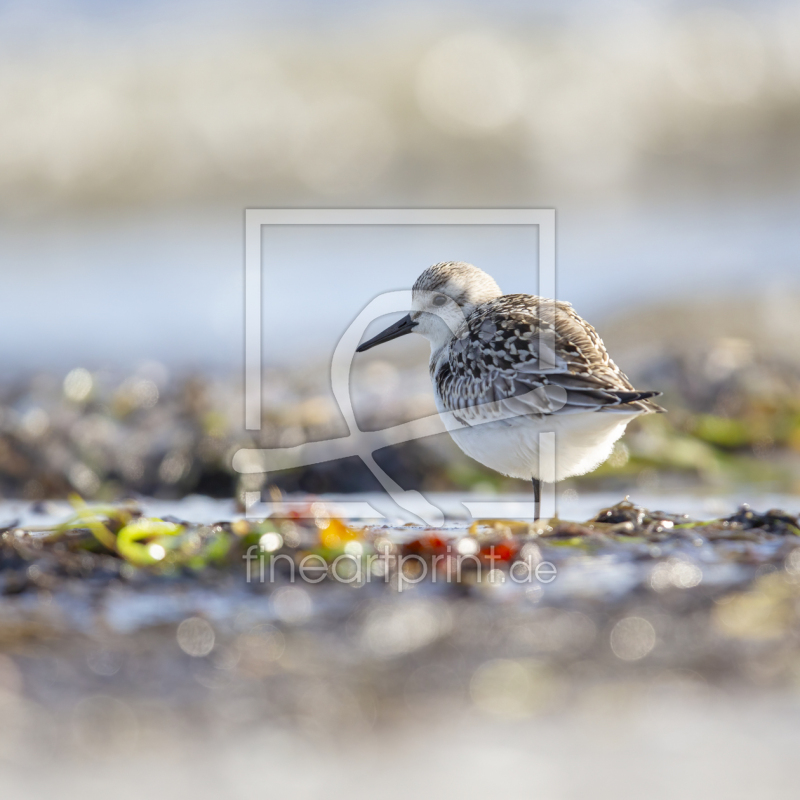 frei w&auml;hlbarer Bildausschnitt f&uuml;r Ihr Bild auf Tasse