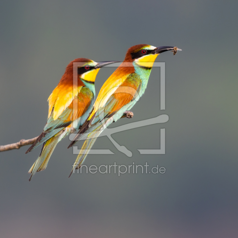 frei w&auml;hlbarer Bildausschnitt f&uuml;r Ihr Bild auf Tasse