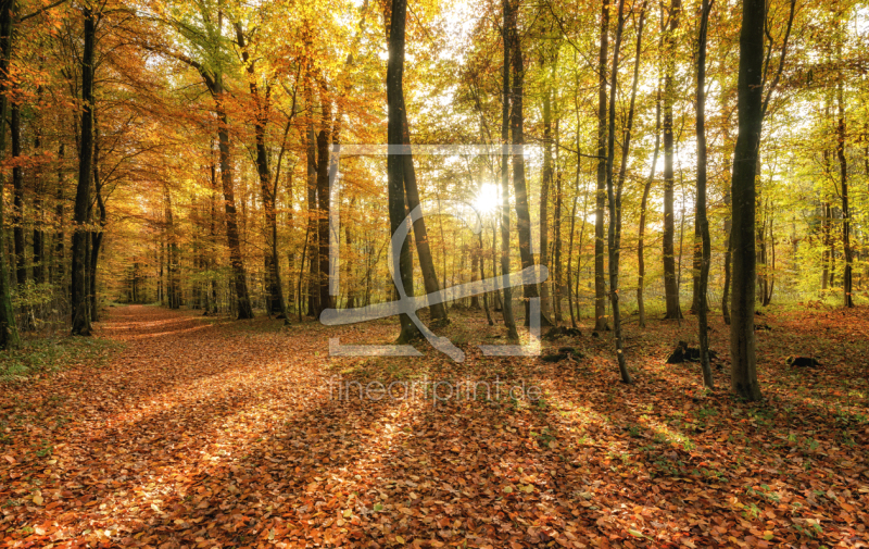 frei w&auml;hlbarer Bildausschnitt f&uuml;r Ihr Bild auf Tasse