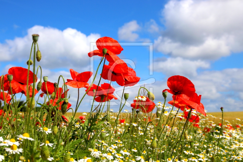 frei wählbarer Bildausschnitt für Ihr Bild auf Tasse