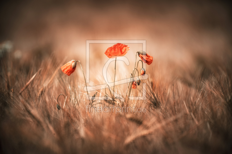 frei w&auml;hlbarer Bildausschnitt f&uuml;r Ihr Bild auf Tasse