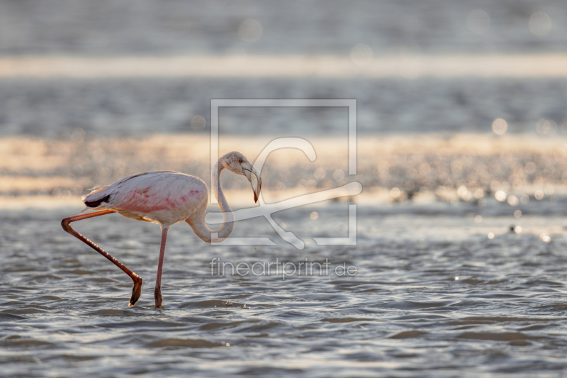 frei w&auml;hlbarer Bildausschnitt f&uuml;r Ihr Bild auf Tasse
