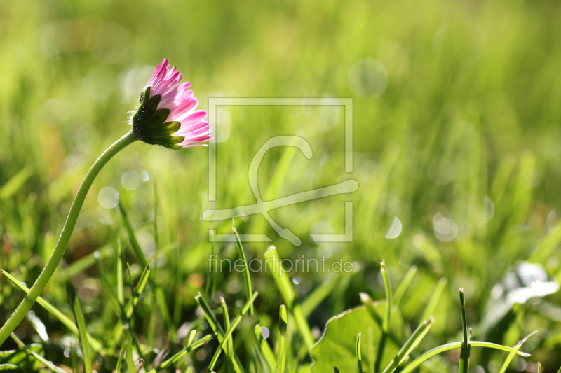 frei w&auml;hlbarer Bildausschnitt f&uuml;r Ihr Bild auf Tasse