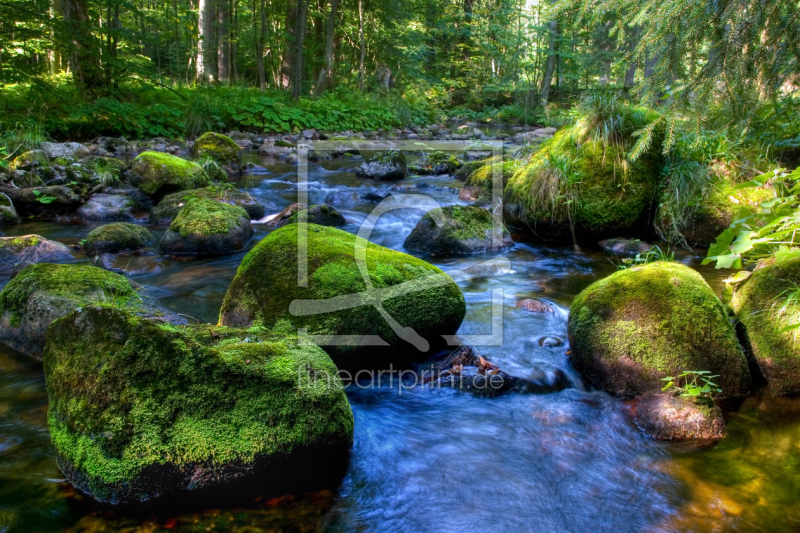 frei w&auml;hlbarer Bildausschnitt f&uuml;r Ihr Bild auf Tasse
