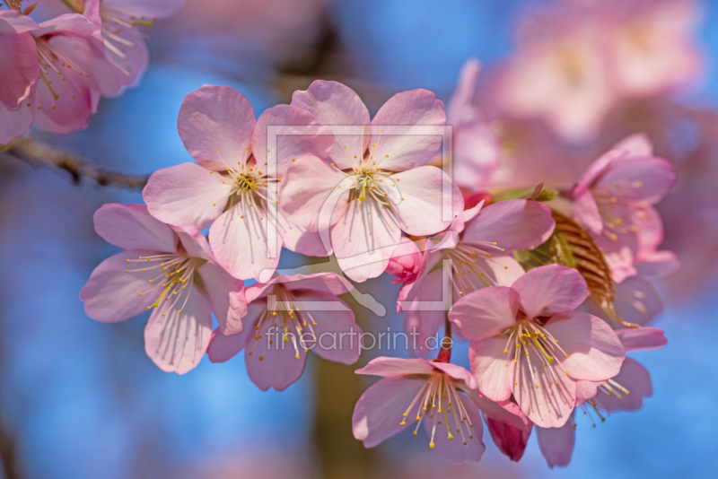 frei w&auml;hlbarer Bildausschnitt f&uuml;r Ihr Bild auf Tasse