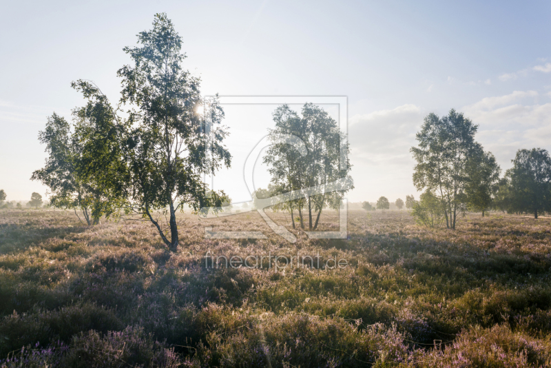frei w&auml;hlbarer Bildausschnitt f&uuml;r Ihr Bild auf Tasse