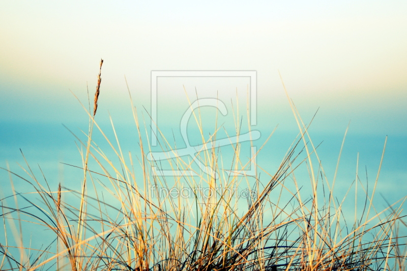 frei w&auml;hlbarer Bildausschnitt f&uuml;r Ihr Bild auf Tasse