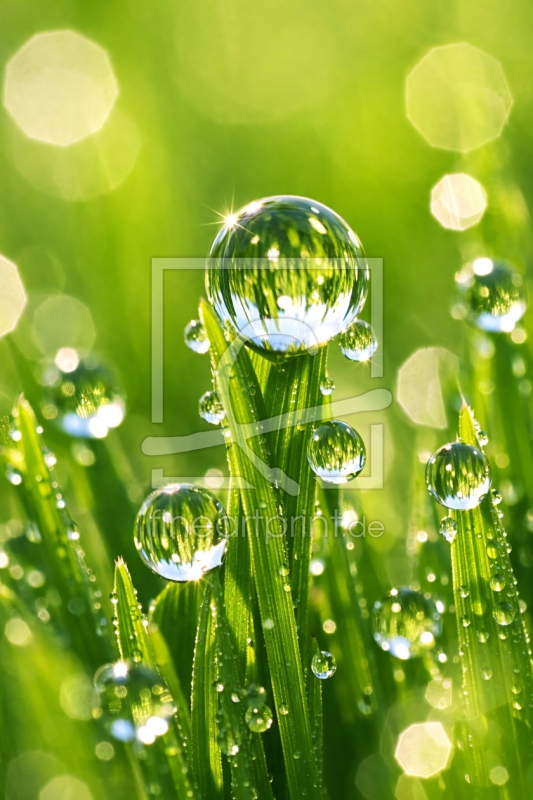 frei w&auml;hlbarer Bildausschnitt f&uuml;r Ihr Bild auf Tasse