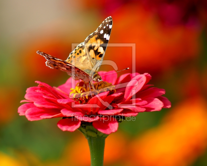 frei wählbarer Bildausschnitt für Ihr Bild auf Tasse