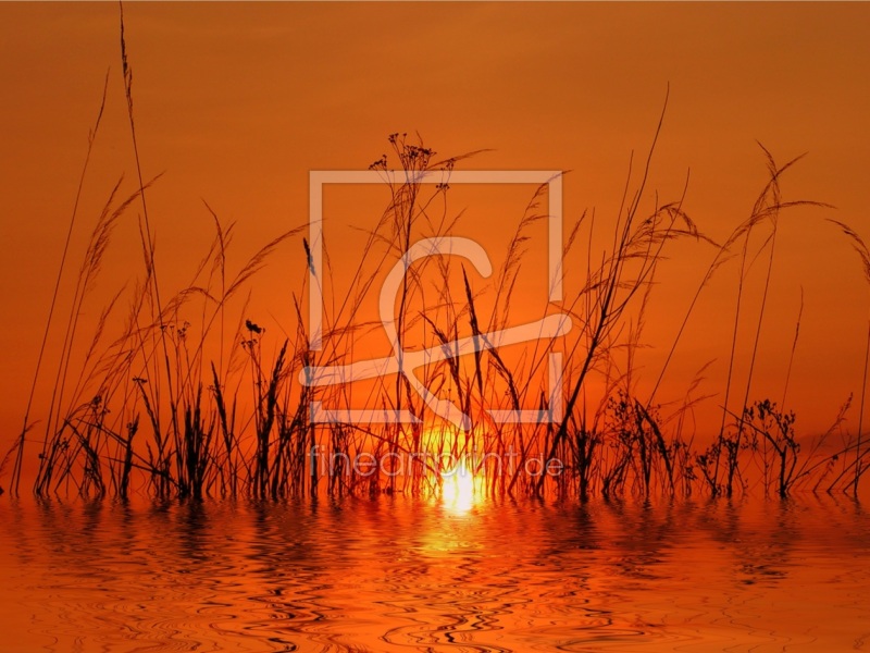 frei w&auml;hlbarer Bildausschnitt f&uuml;r Ihr Bild auf Tasse