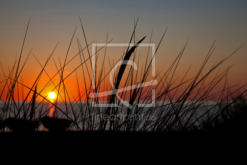 frei w&auml;hlbarer Bildausschnitt f&uuml;r Ihr Bild auf Tasse