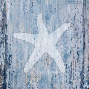 Bild-Nr: 9102052 Sealife Starfish Erstellt von: CASA-FINE-ARTS