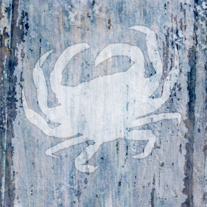 Bild-Nr: 9560293 Sealife Crab Erstellt von: CASA-FINE-ARTS