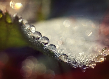 Bild-Nr: 11344724 Perlenkette Erstellt von: youhaveadream