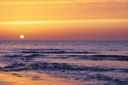 Bild-Nr: 11534664 Sunset - Insel Amrum Erstellt von: Angela  Dölling