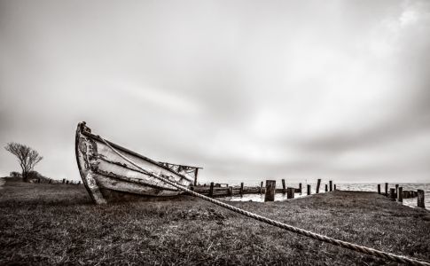 Bild-Nr: 11681742 Maasholm II Erstellt von: BJF