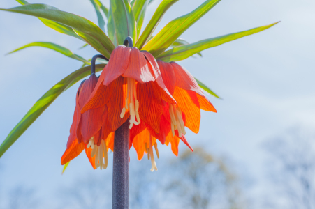 Bild-Nr: 11824619 von unten Erstellt von: Fototommi