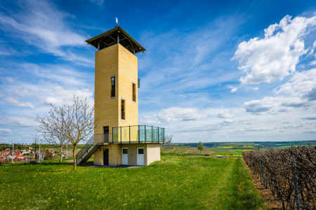 Bild-Nr: 12742187 Weinbergsturm Vendersheim 19 Erstellt von: Erhard Hess