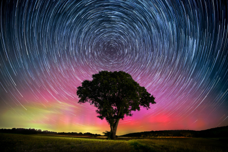 Bild-Nr: 12849614 Einsamem Baum mit Nordlichtern und Sternspuren Erstellt von: Smileus