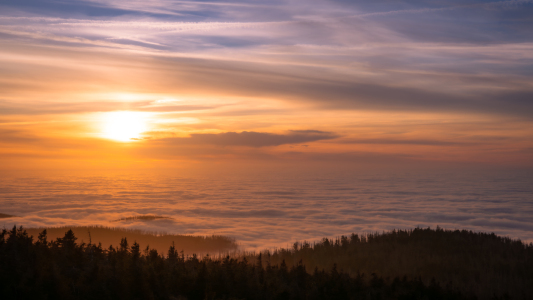Bild-Nr: 12856281 Die Sonne und das Wolkenmeer  Erstellt von: Steffen Henze