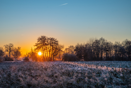 Bild-Nr: 12874638 Tagesnabruch im Winter Erstellt von: Tanja Riedel