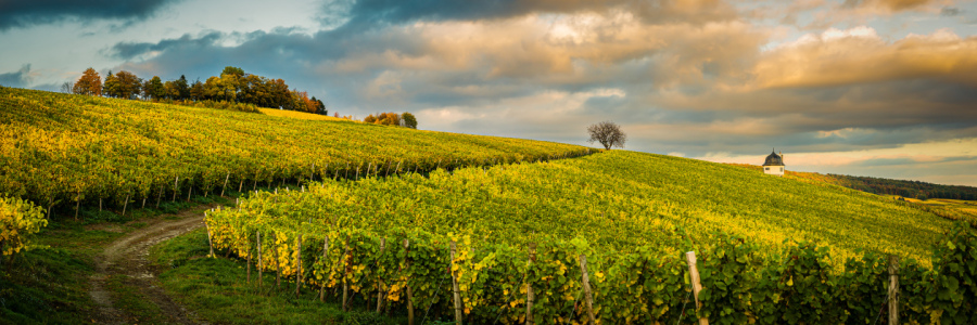 Bild-Nr: 12894230 Bubenhäuser Höhe -1n- Erstellt von: Erhard Hess