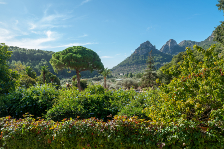 Bild-Nr: 12862248 Landschaft bei Soller auf Mallorca Erstellt von: volker heide