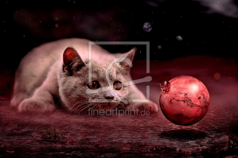 frei wählbarer Bildausschnitt für Ihr Bild auf Tischdecke