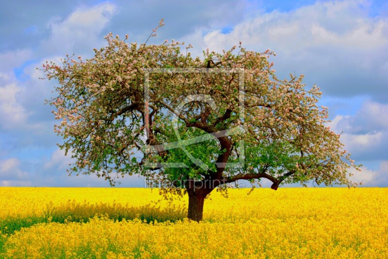 frei wählbarer Bildausschnitt für Ihr Bild auf Tischdecke