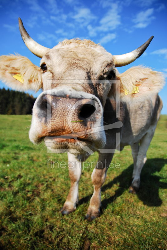 frei wählbarer Bildausschnitt für Ihr Bild auf Tischdecke