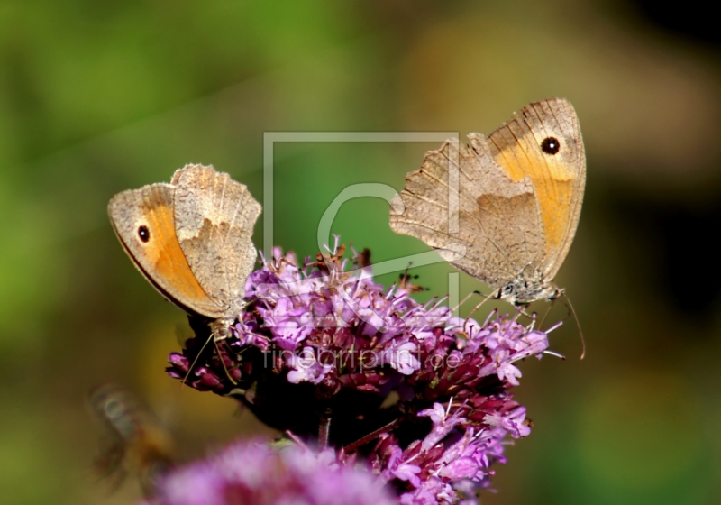 frei wählbarer Bildausschnitt für Ihr Bild auf Tischdecke