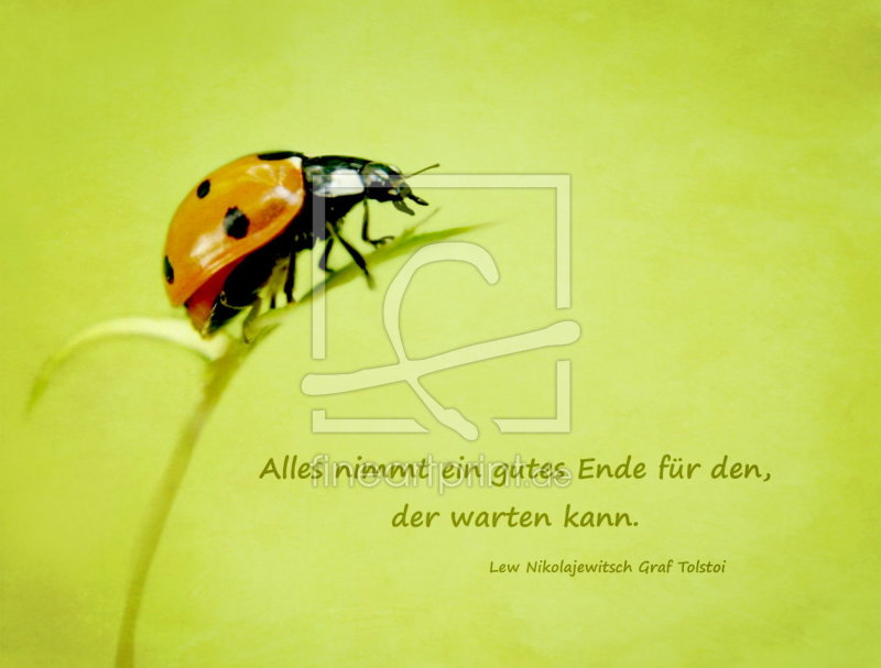 frei wählbarer Bildausschnitt für Ihr Bild auf Tischdecke