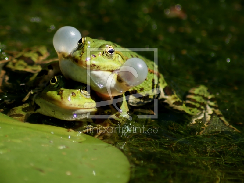 frei w&auml;hlbarer Bildausschnitt f&uuml;r Ihr Bild auf Tischdecke