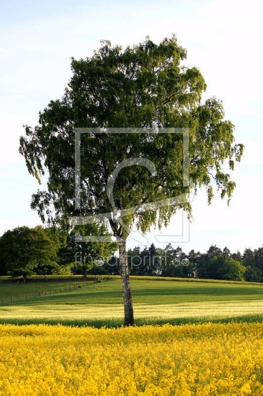 frei wählbarer Bildausschnitt für Ihr Bild auf Tischdecke