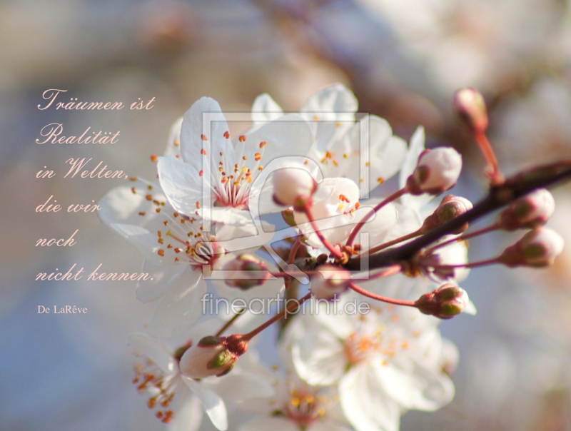 frei wählbarer Bildausschnitt für Ihr Bild auf Tischdecke