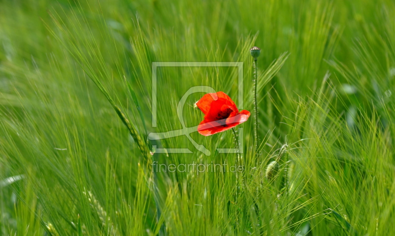 frei wählbarer Bildausschnitt für Ihr Bild auf Tischdecke