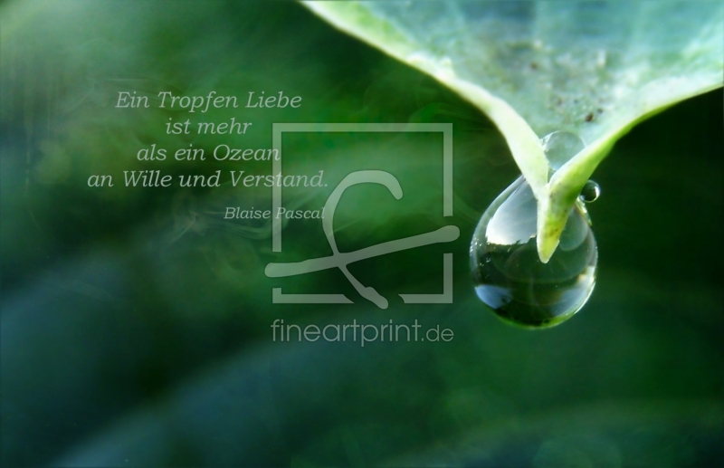 frei wählbarer Bildausschnitt für Ihr Bild auf Tischdecke