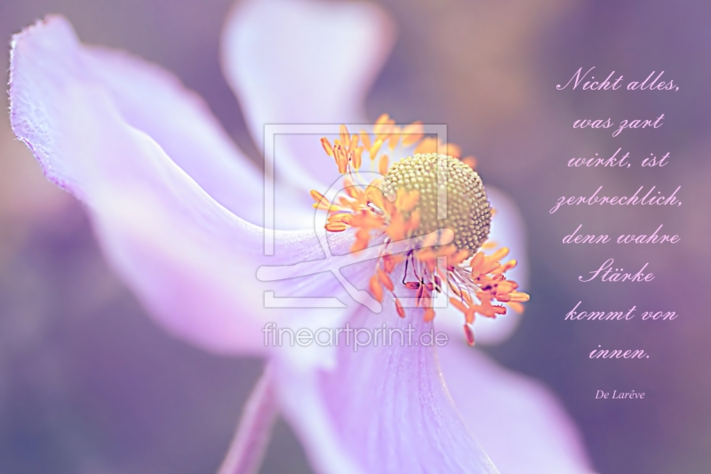 frei wählbarer Bildausschnitt für Ihr Bild auf Tischdecke