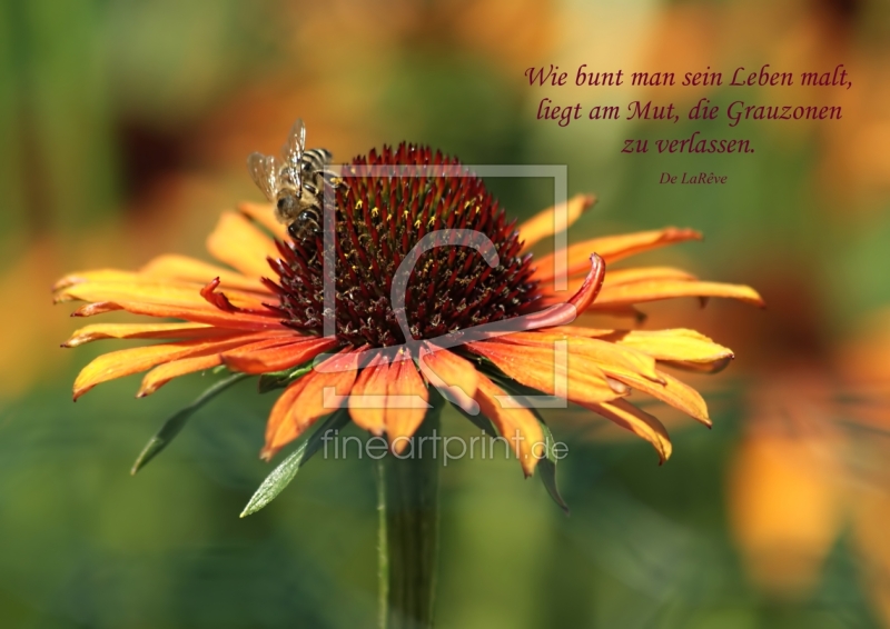 frei w&auml;hlbarer Bildausschnitt f&uuml;r Ihr Bild auf Tischdecke