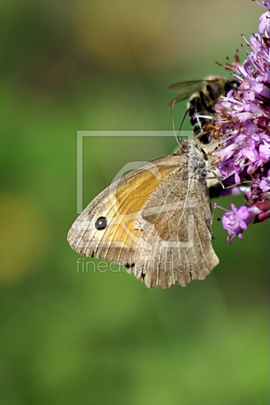 frei wählbarer Bildausschnitt für Ihr Bild auf Tischdecke