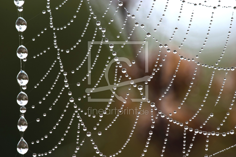 frei wählbarer Bildausschnitt für Ihr Bild auf Tischdecke