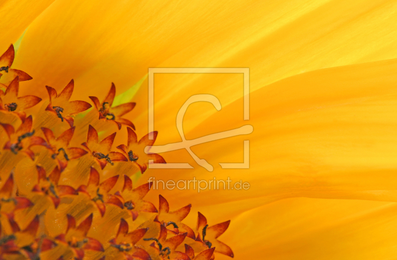 frei wählbarer Bildausschnitt für Ihr Bild auf Tischdecke