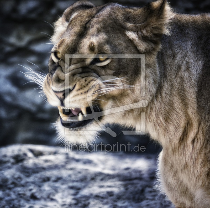 frei w&auml;hlbarer Bildausschnitt f&uuml;r Ihr Bild auf Tischdecke