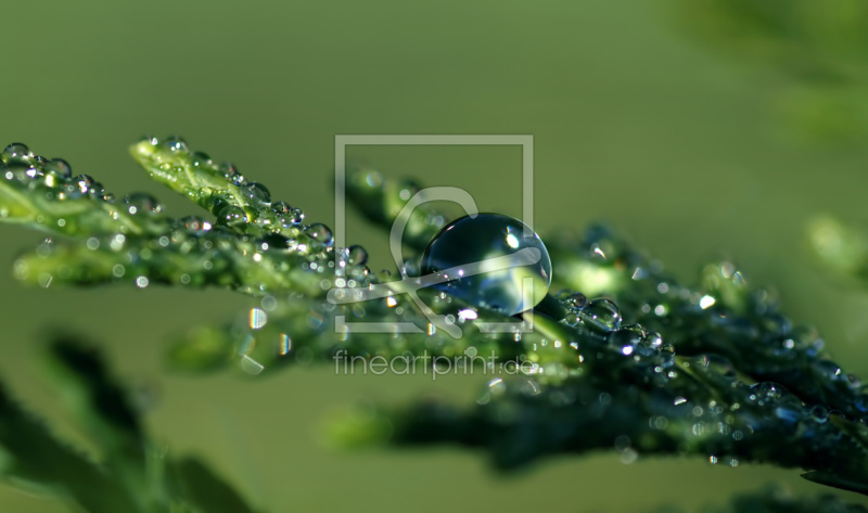 frei w&auml;hlbarer Bildausschnitt f&uuml;r Ihr Bild auf Tischdecke