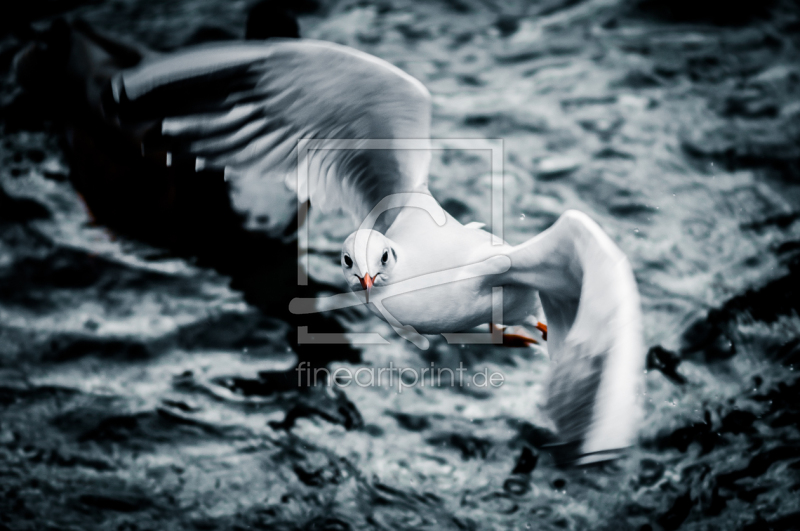 frei wählbarer Bildausschnitt für Ihr Bild auf Tischdecke