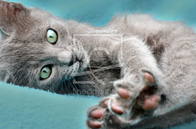 frei w&auml;hlbarer Bildausschnitt f&uuml;r Ihr Bild auf Tischdecke