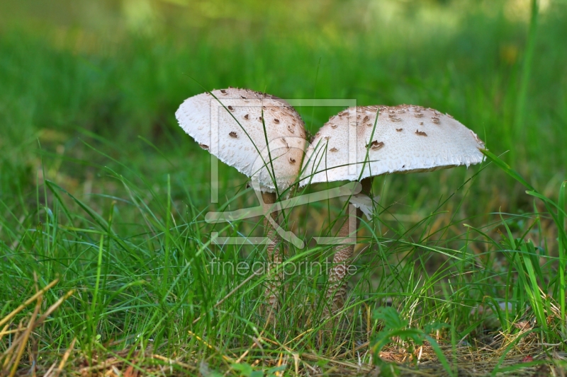 frei wählbarer Bildausschnitt für Ihr Bild auf Tischdecke