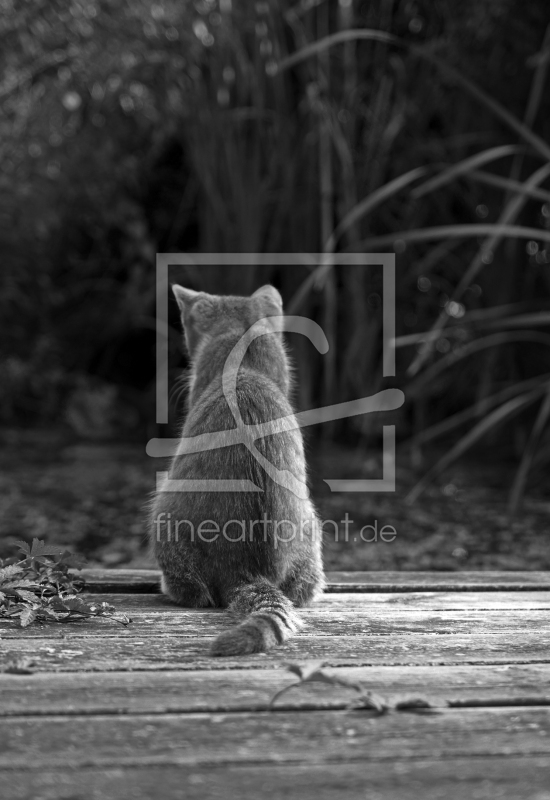 frei w&auml;hlbarer Bildausschnitt f&uuml;r Ihr Bild auf Tischdecke