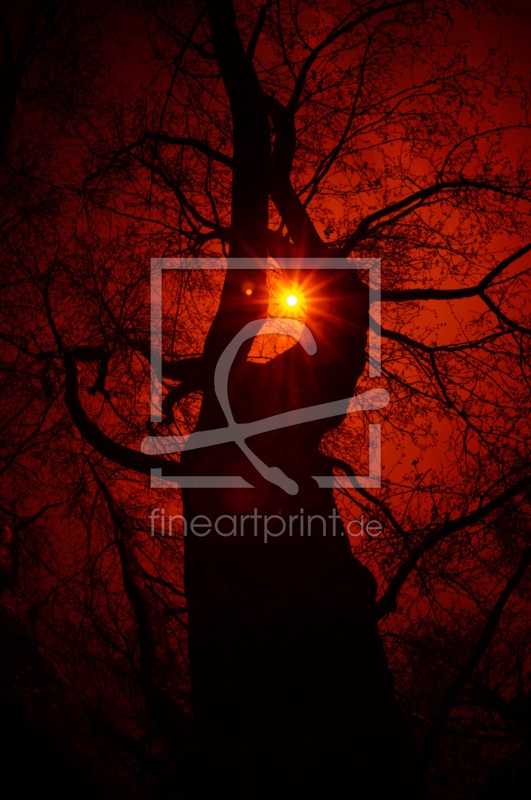 frei w&auml;hlbarer Bildausschnitt f&uuml;r Ihr Bild auf Tischdecke