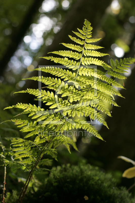 frei w&auml;hlbarer Bildausschnitt f&uuml;r Ihr Bild auf Tischdecke